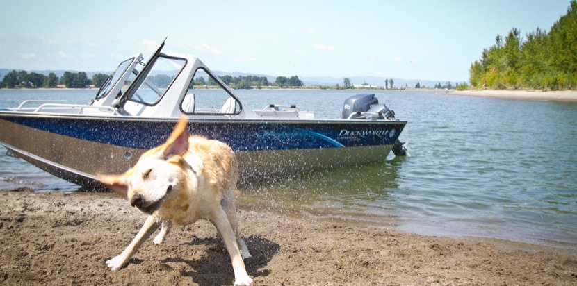 Duckworth Boats
