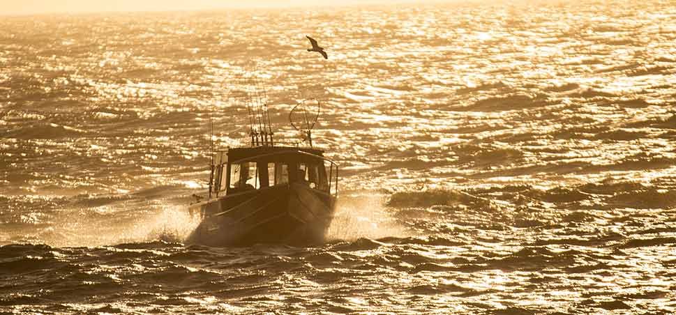 Duckworth Boats