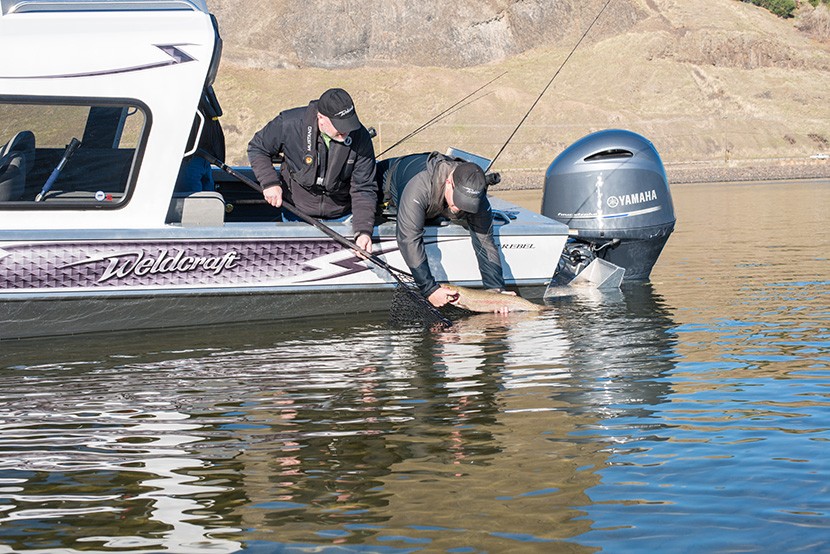 Duckworth Boats