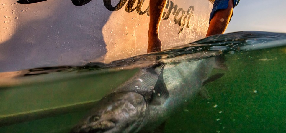 Duckworth Boats