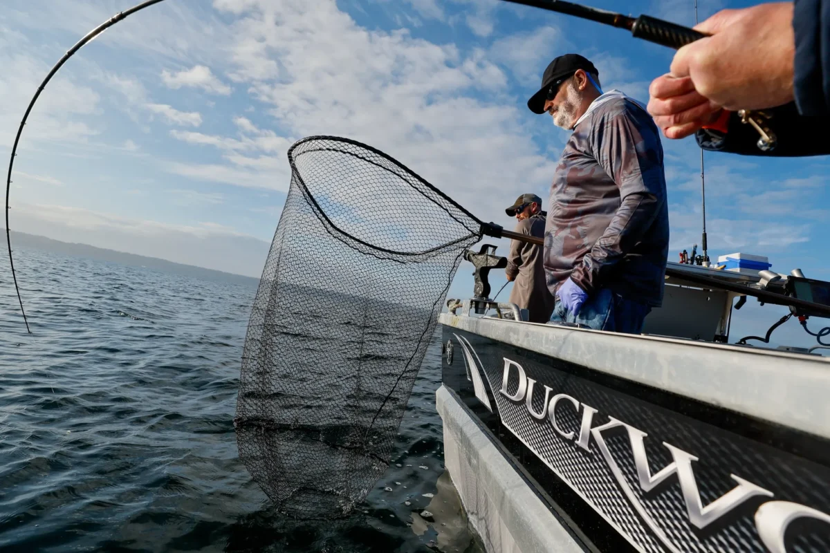 Duckworth Boats